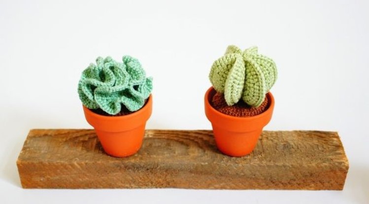 Amigurumi Dekoratif Kaktüs Tarifi