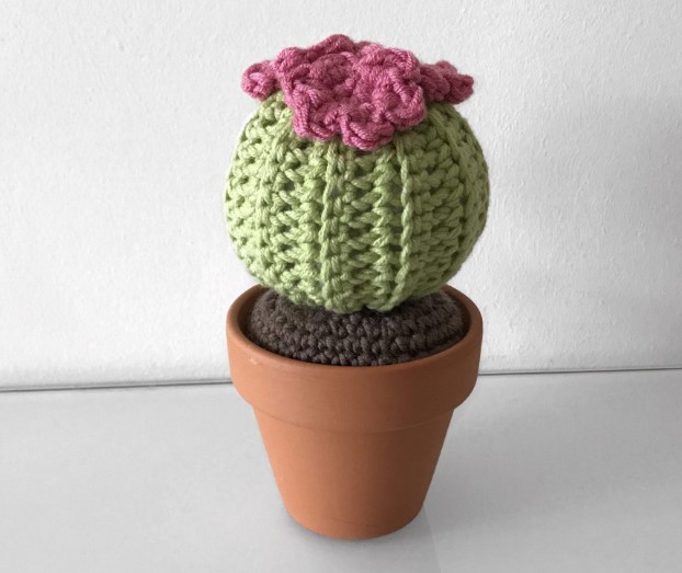 Amigurumi Küçük Dekoratif Kaktüsler