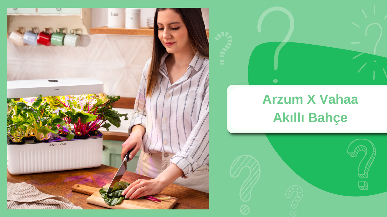 arzum - Akıllı Bahçe Sulama Sistemiyle Yetiştirebileceğiniz 7 Bitki